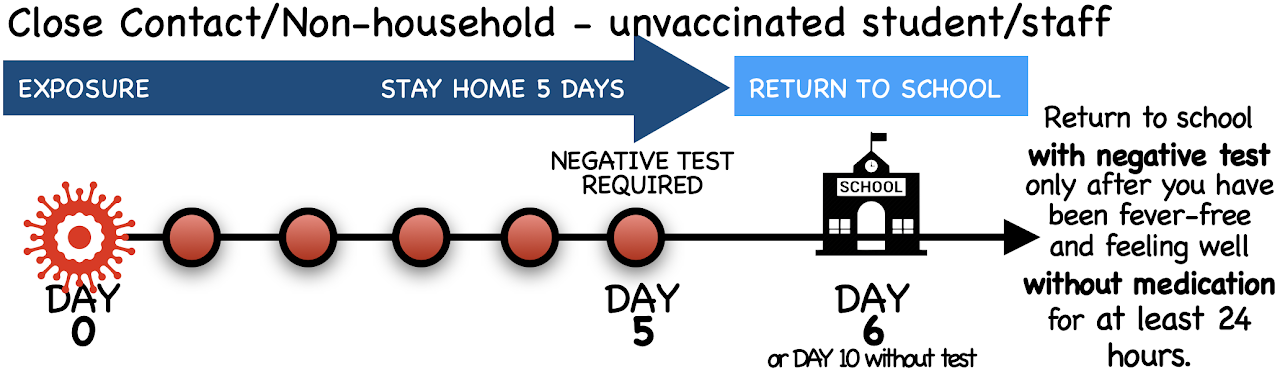 Close Contact/Non-household - unvaccinated student/staff EXPOSURE STAY HOME 5 DAYS RETURN TO SCHOOL NEGATIVE TEST REQUIRED © SCHOOL DAY 5 DAY 6 or DAY 10 without test Return to school with negative test only after you have been fever-free and feeling well without medication for at least 24 hours.